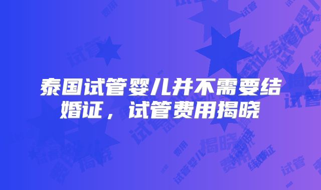 泰国试管婴儿并不需要结婚证，试管费用揭晓