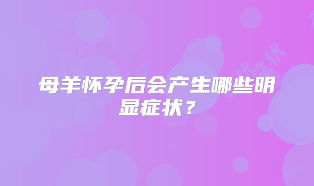母羊怀孕后会产生哪些明显症状?