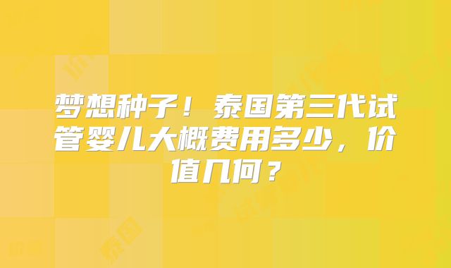 梦想种子!泰国第三代试管婴儿大概费用多少,价值几何?