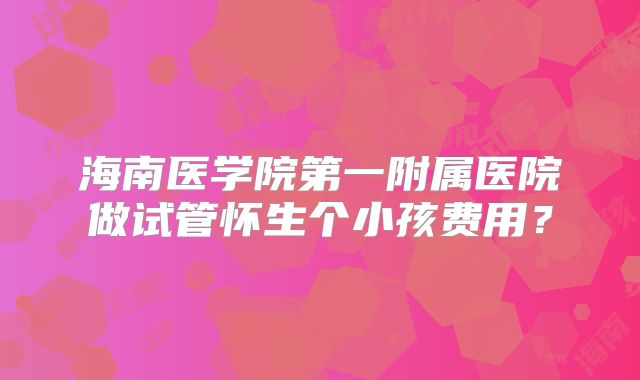 海南医学院第一附属医院做试管怀生个小孩费用？