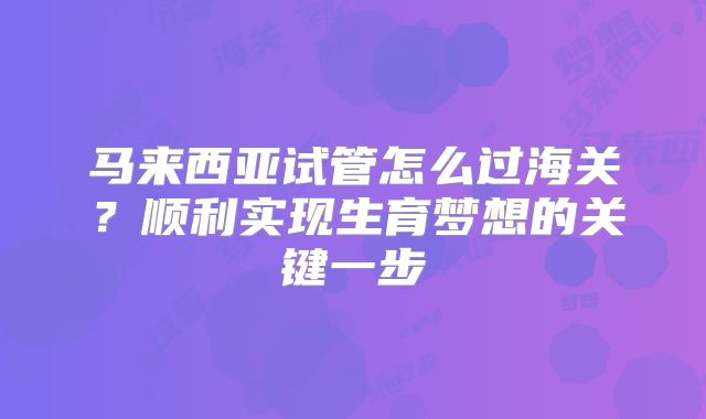 马来西亚试管怎么过海关？顺利实现生育梦想的关键一步