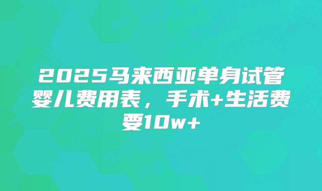 2025马来西亚单身试管婴儿费用表，手术+生活费要10w+