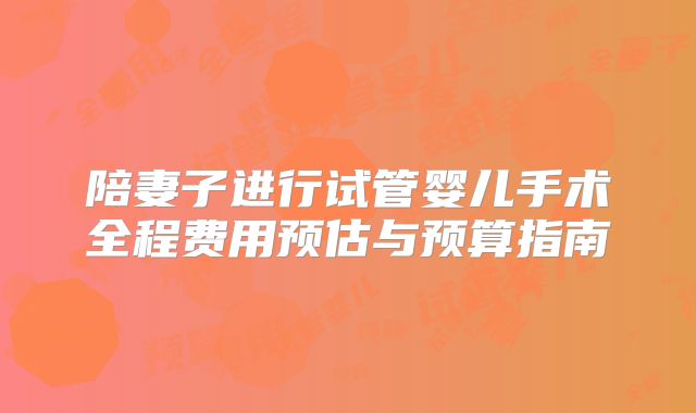 陪妻子进行试管婴儿手术全程费用预估与预算指南