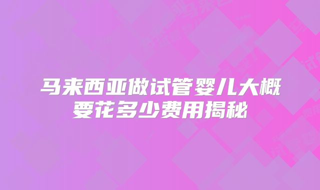 马来西亚做试管婴儿大概要花多少费用揭秘
