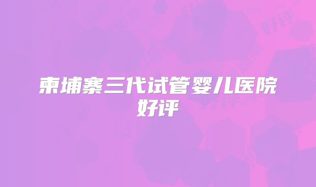 柬埔寨三代试管婴儿医院好评