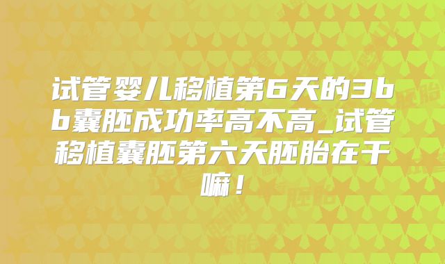 试管婴儿移植第6天的3bb囊胚成功率高不高_试管移植囊胚第六天胚胎在干嘛!