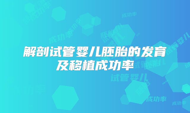 解剖试管婴儿胚胎的发育及移植成功率