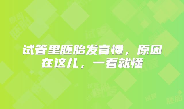 试管里胚胎发育慢，原因在这儿，一看就懂
