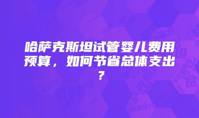 哈萨克斯坦试管婴儿费用预算，如何节省总体支出？