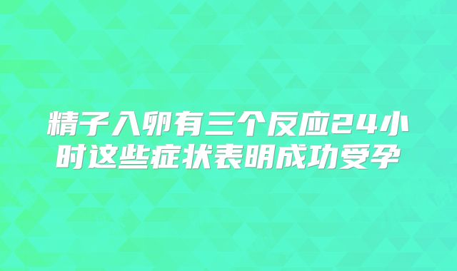 精子入卵有三个反应24小时这些症状表明成功受孕