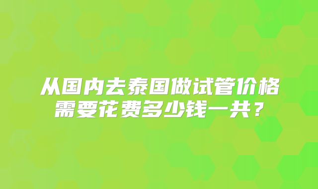 从国内去泰国做试管价格需要花费多少钱一共？