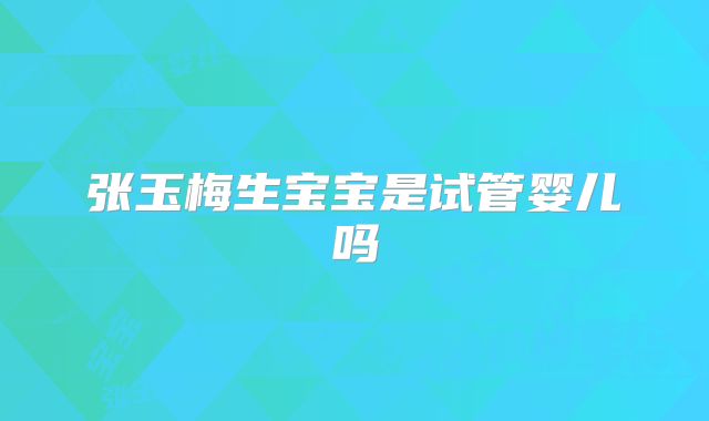 张玉梅生宝宝是试管婴儿吗