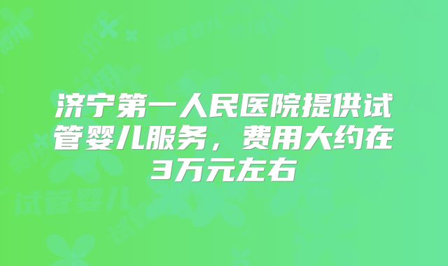 济宁第一人民医院提供试管婴儿服务，费用大约在3万元左右
