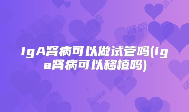 igA肾病可以做试管吗(iga肾病可以移植吗)