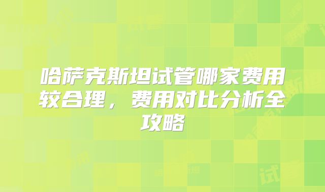 哈萨克斯坦试管哪家费用较合理，费用对比分析全攻略