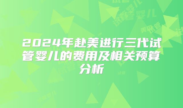2024年赴美进行三代试管婴儿的费用及相关预算分析