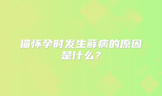 猫怀孕时发生藓病的原因是什么？