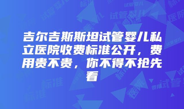 吉尔吉斯斯坦试管婴儿私立医院收费标准公开，费用贵不贵，你不得不抢先看