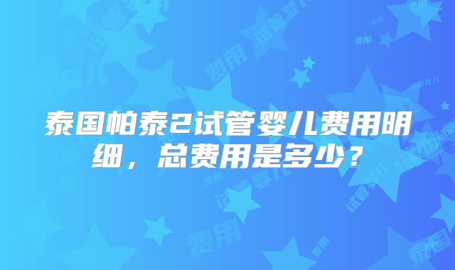 泰国帕泰2试管婴儿费用明细，总费用是多少？