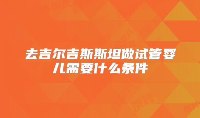 去吉尔吉斯斯坦做试管婴儿需要什么条件