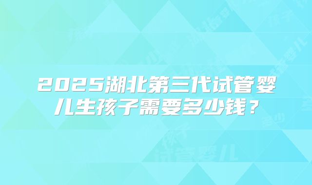 2025湖北第三代试管婴儿生孩子需要多少钱?