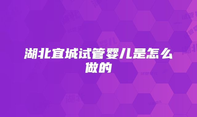 湖北宜城试管婴儿是怎么做的