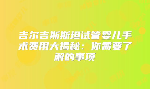 吉尔吉斯斯坦试管婴儿手术费用大揭秘：你需要了解的事项