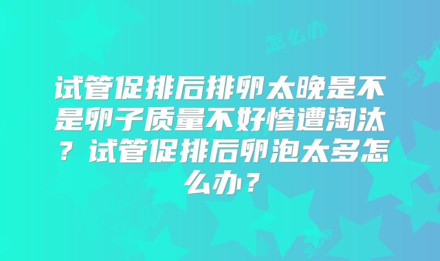 试管促排后排卵太晚是不是卵子质量不好惨遭淘汰？试管促排后卵泡太多怎么办？