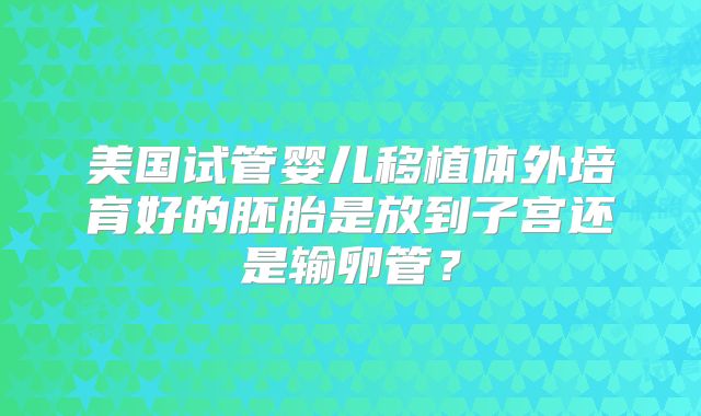 美国试管婴儿移植体外培育好的胚胎是放到子宫还是输卵管?