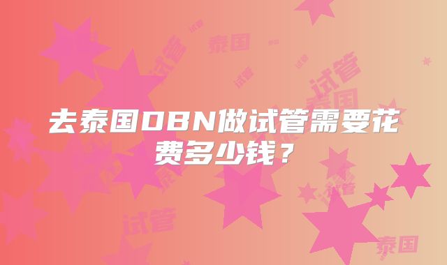 去泰国DBN做试管需要花费多少钱？