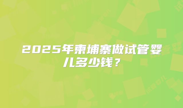 2025年柬埔寨做试管婴儿多少钱？