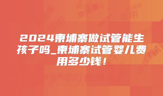 2024柬埔寨做试管能生孩子吗_柬埔寨试管婴儿费用多少钱！
