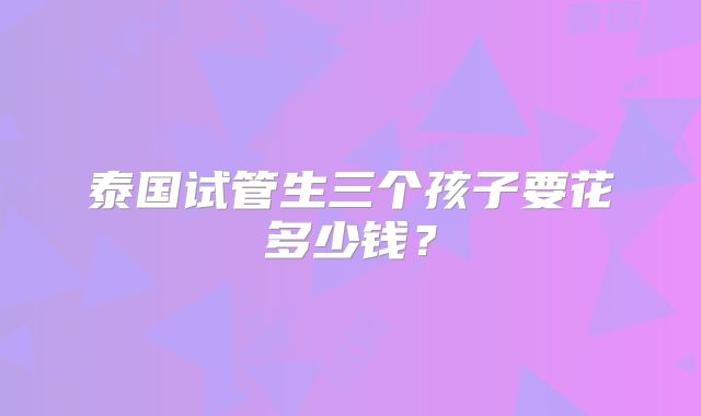 泰国试管生三个孩子要花多少钱？