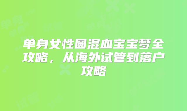 单身女性圆混血宝宝梦全攻略，从海外试管到落户攻略
