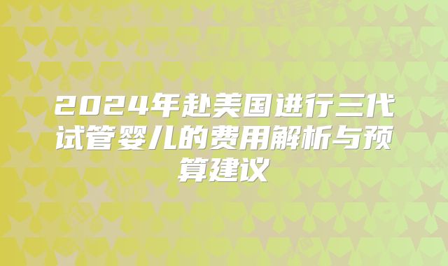 2024年赴美国进行三代试管婴儿的费用解析与预算建议