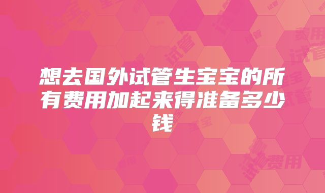 想去国外试管生宝宝的所有费用加起来得准备多少钱