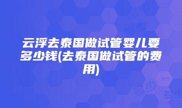 云浮去泰国做试管婴儿要多少钱(去泰国做试管的费用)
