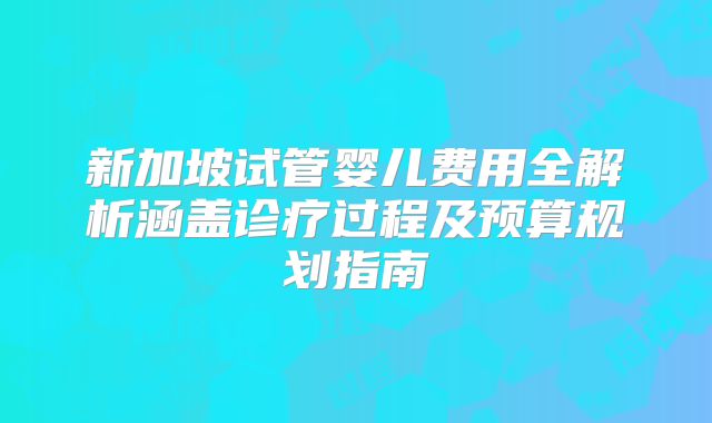 新加坡试管婴儿费用全解析涵盖诊疗过程及预算规划指南