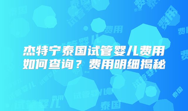 杰特宁泰国试管婴儿费用如何查询？费用明细揭秘