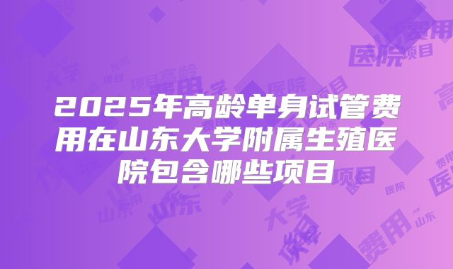 2025年高龄单身试管费用在山东大学附属生殖医院包含哪些项目