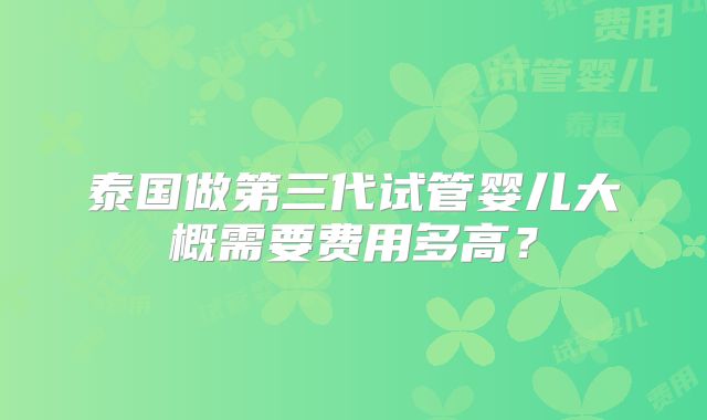 泰国做第三代试管婴儿大概需要费用多高?