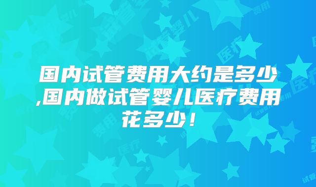 国内试管费用大约是多少,国内做试管婴儿医疗费用花多少!