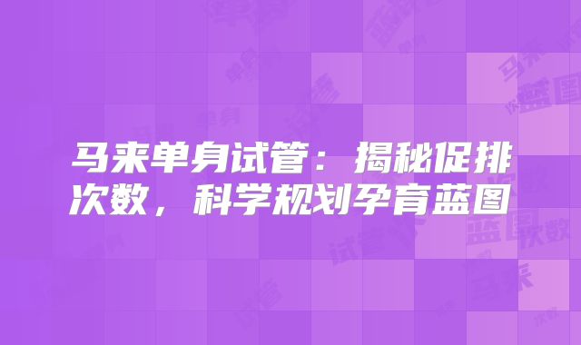 马来单身试管：揭秘促排次数，科学规划孕育蓝图