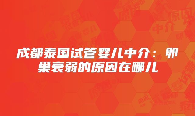 成都泰国试管婴儿中介：卵巢衰弱的原因在哪儿