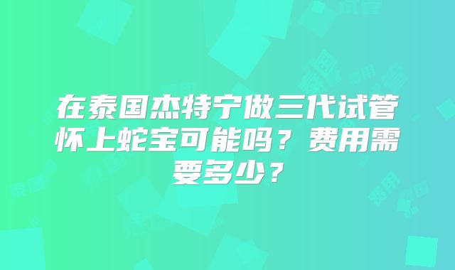 在泰国杰特宁做三代试管怀上蛇宝可能吗?费用需要多少?