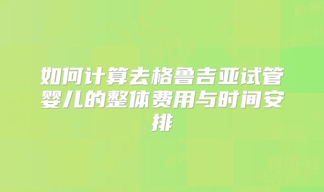 如何计算去格鲁吉亚试管婴儿的整体费用与时间安排