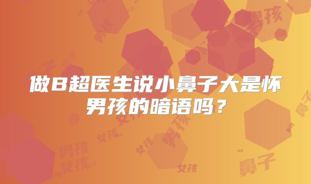 做B超医生说小鼻子大是怀男孩的暗语吗？