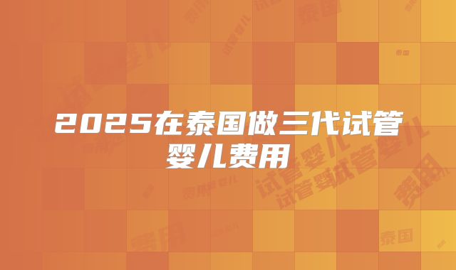 2025在泰国做三代试管婴儿费用