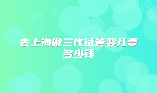 去上海做三代试管婴儿要多少钱