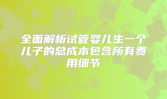 全面解析试管婴儿生一个儿子的总成本包含所有费用细节